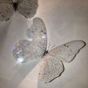 Meet your Posher, Mackenzie